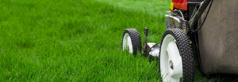 Rasenmäher im grünen Gras